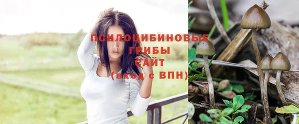 герыч Заводоуковск